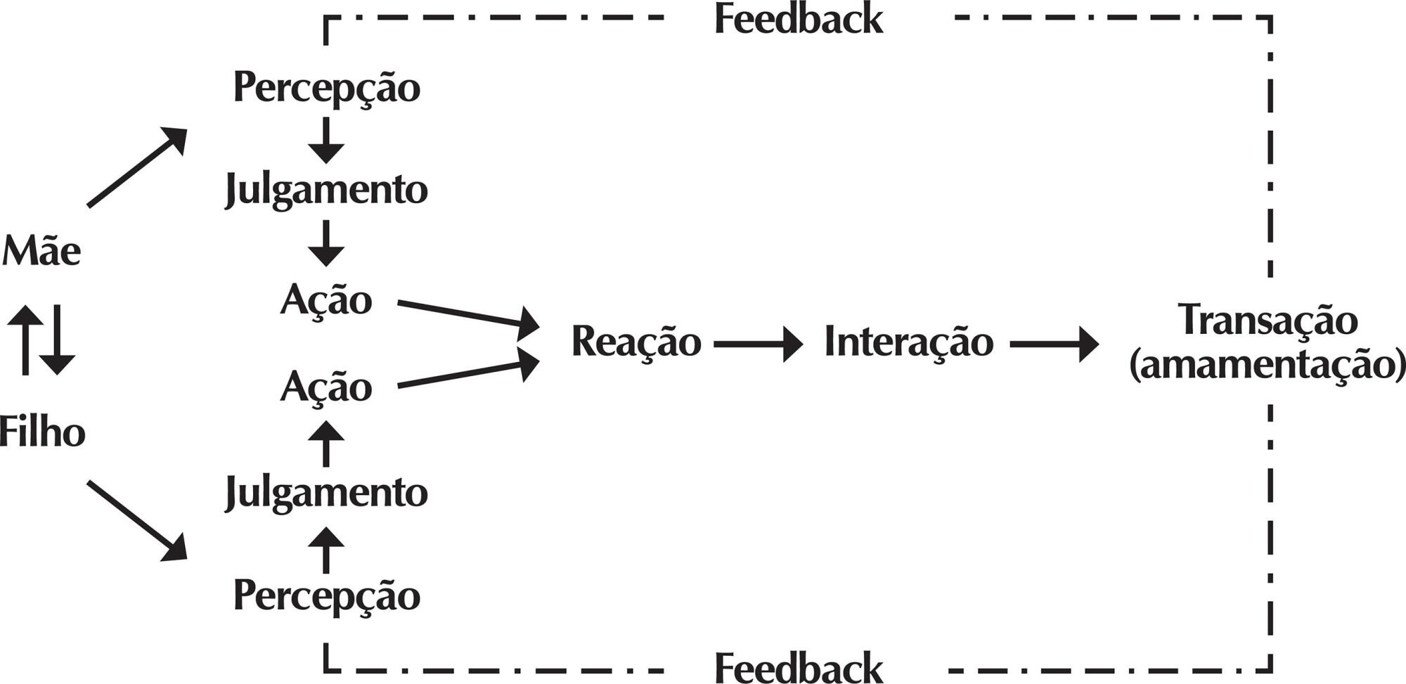 Teoria Interativa de Amamentação: elaboração e aplicação de uma teoria de médio alcance