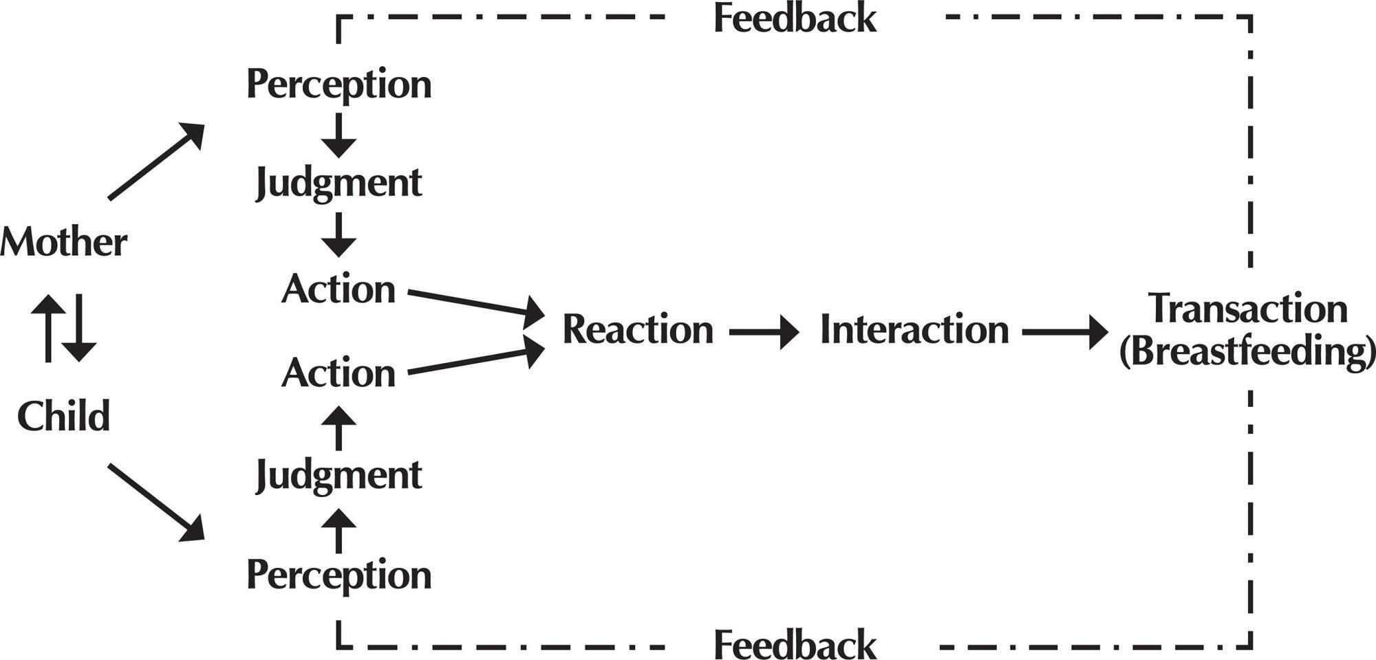 Interactive Theory of Breastfeeding: creation and application of a middle-range theory