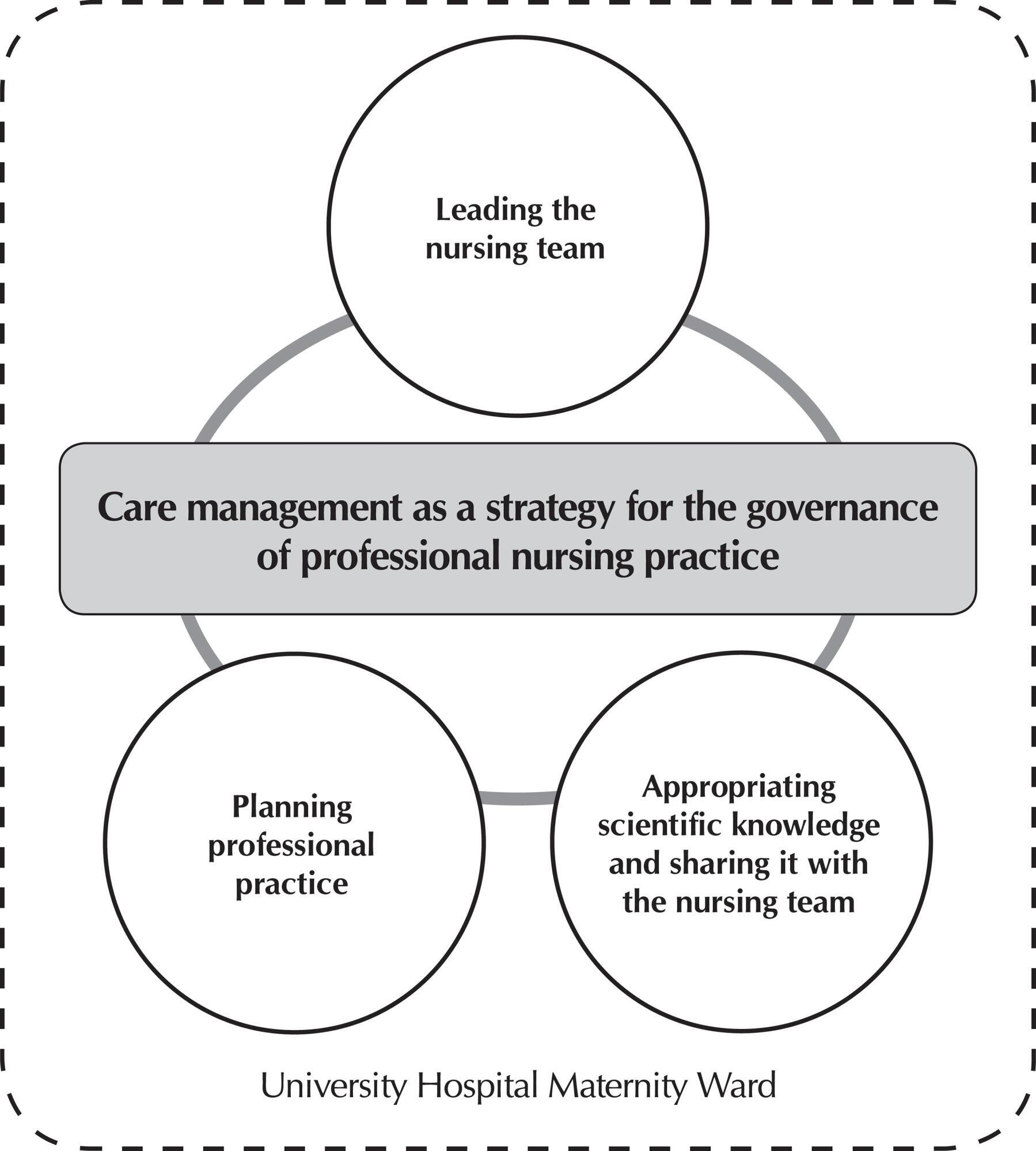 Care management and nursing governance in a maternity ward: grounded theory