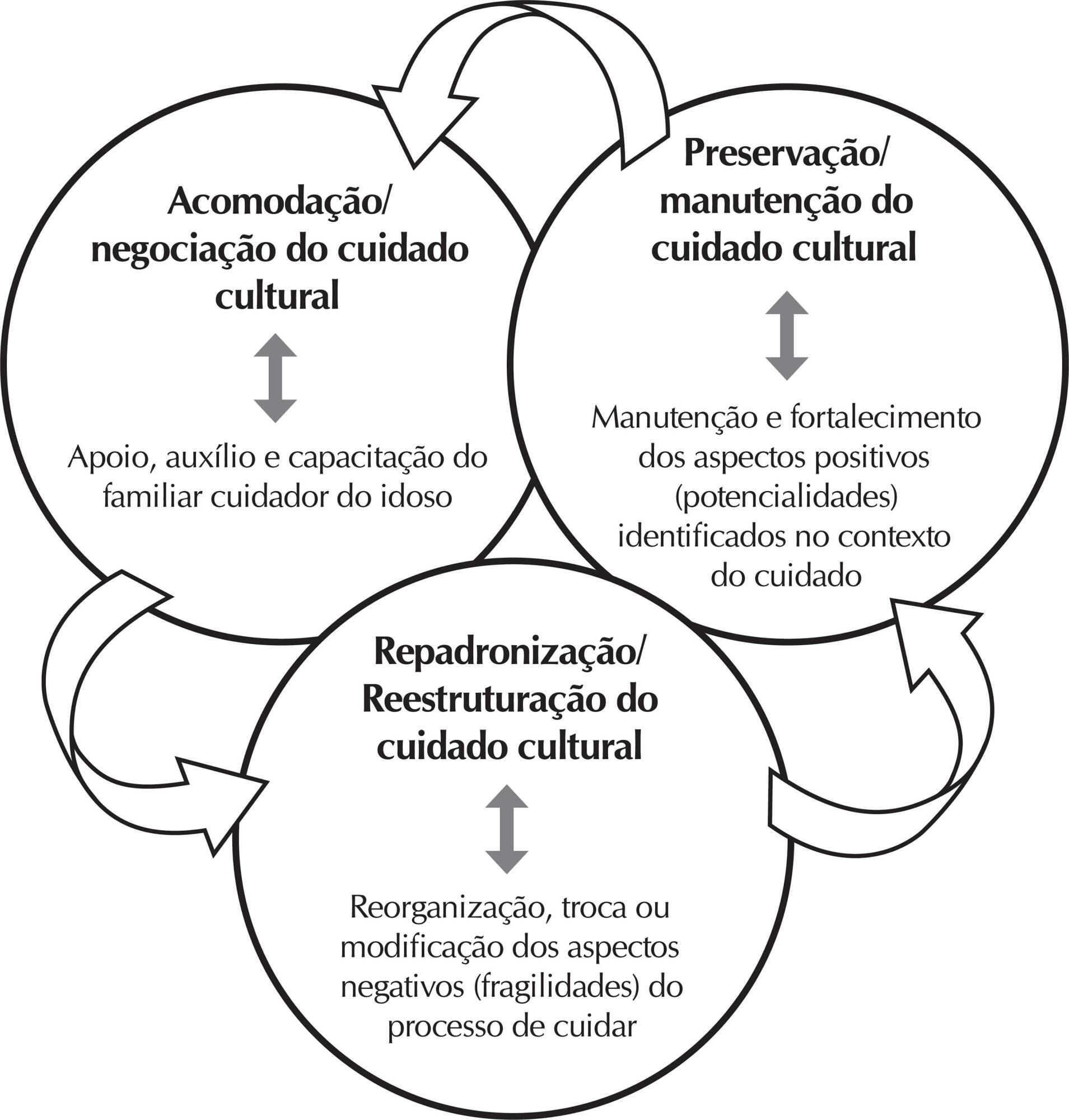 Cuidador familiar de idosos e o Cuidado Cultural na assistência de Enfermagem