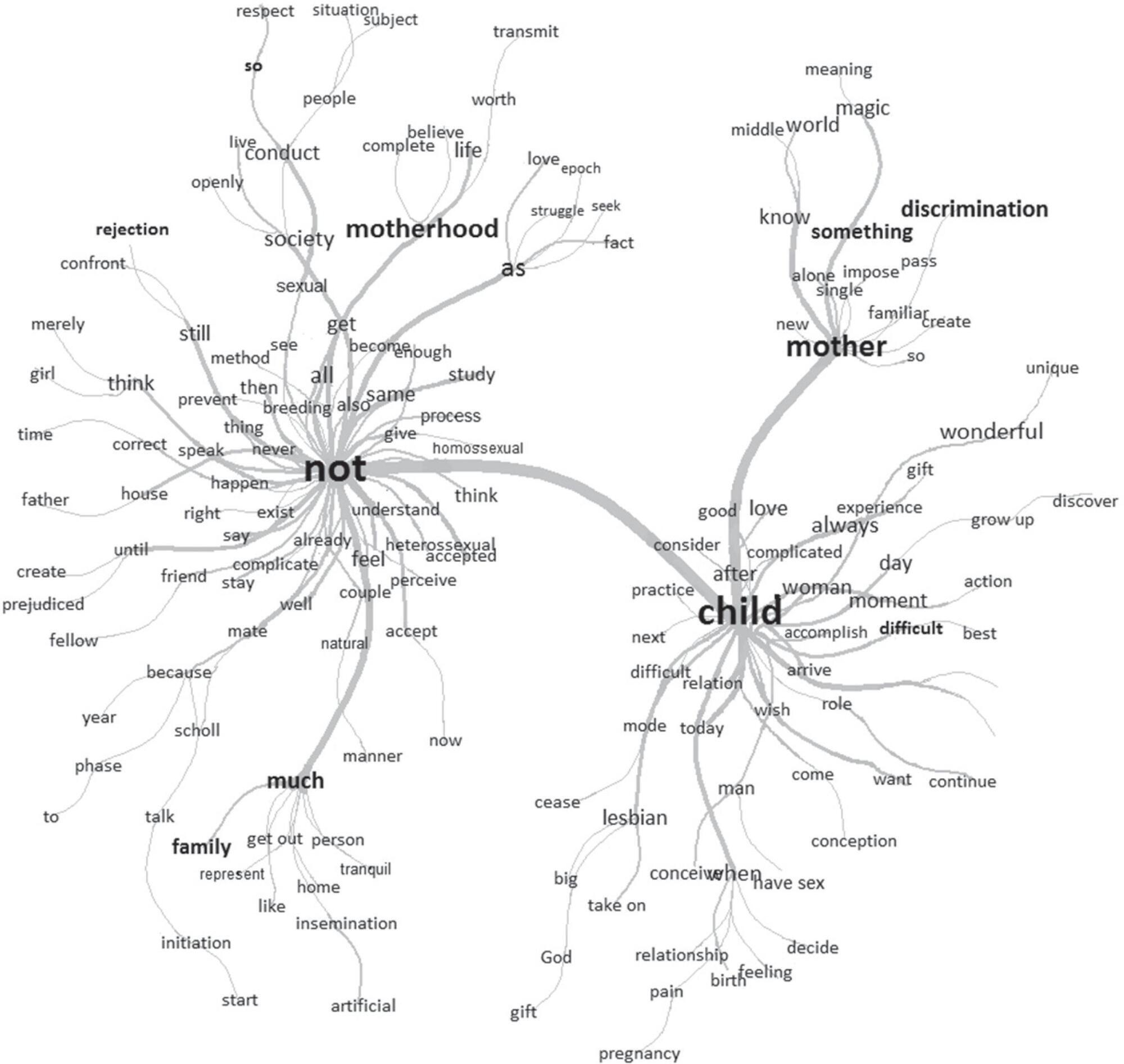 Social network: evaluation of the support or containment contexts of lesbian mothers
