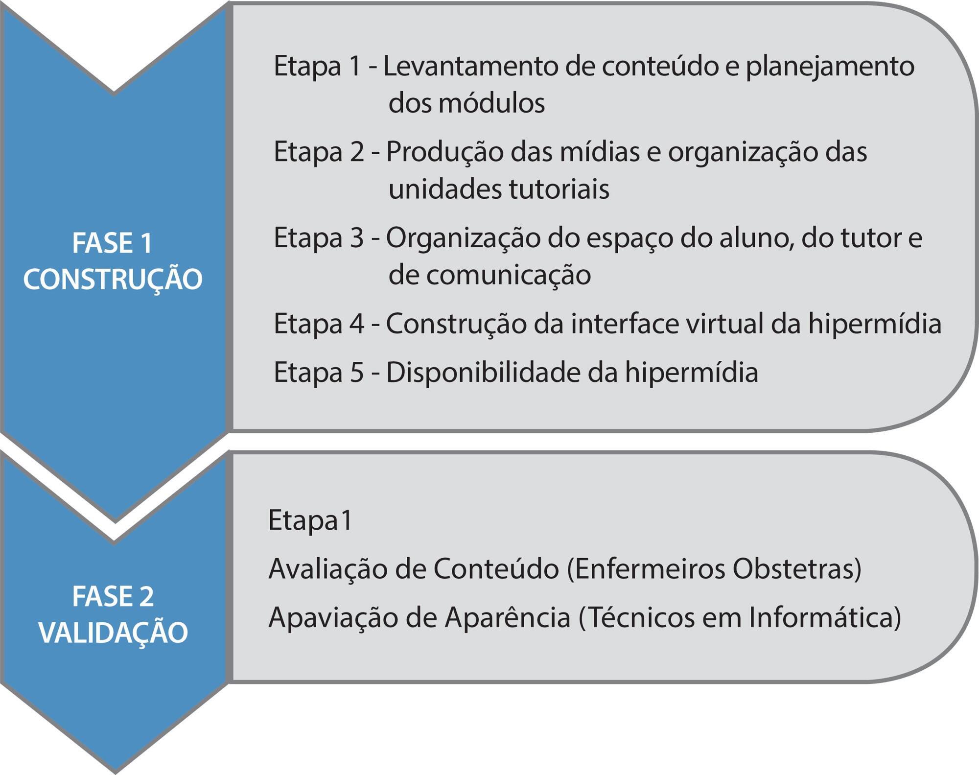Educational hypermedia in nursing assistance at birth: building and validation of content and appearance