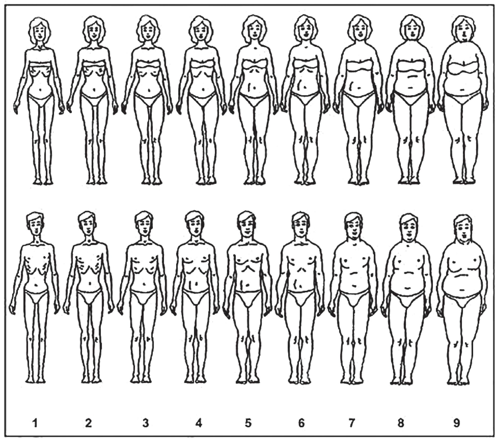 Percepção da imagem corporal e estado nutricional em adolescentes de escolas públicas