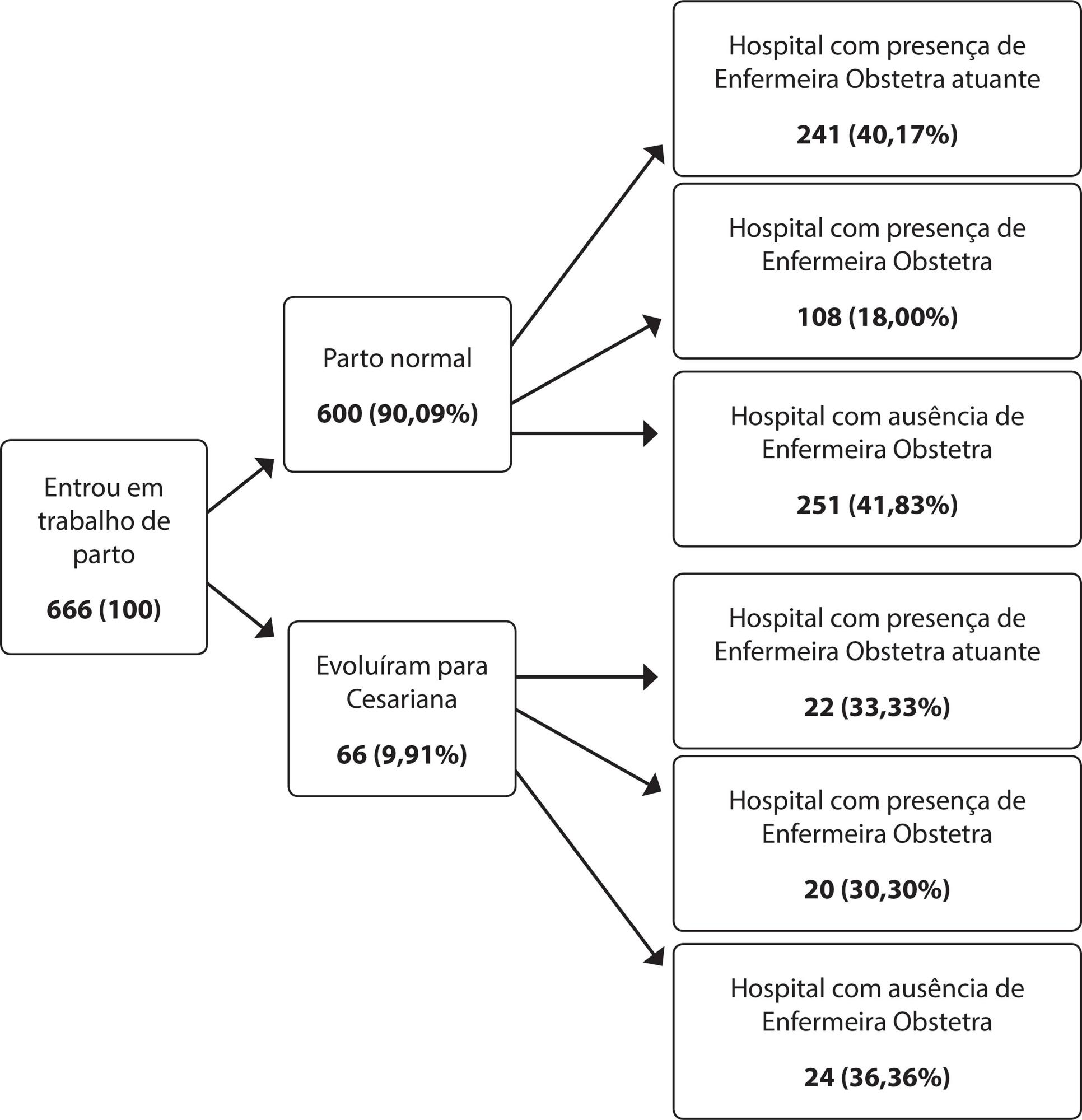 Enfermagem Obstétrica nas boas práticas da assistênciaao parto e nascimento