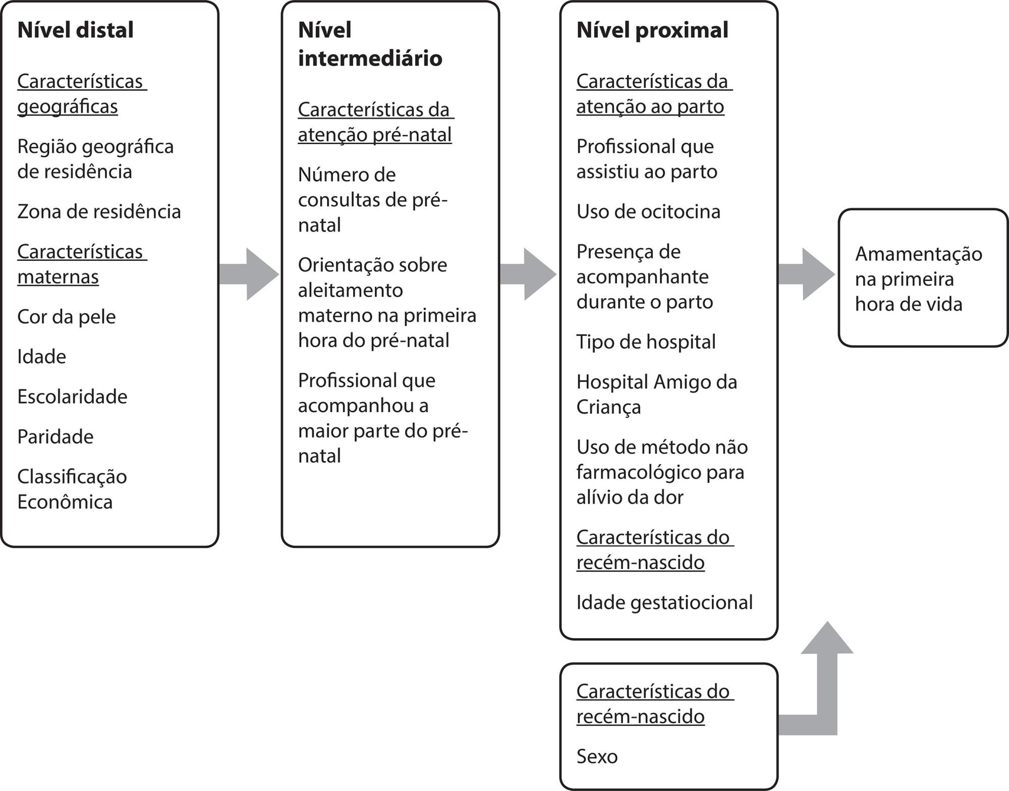 Profissional que assistiu o parto e amamentação na primeira hora de vida
