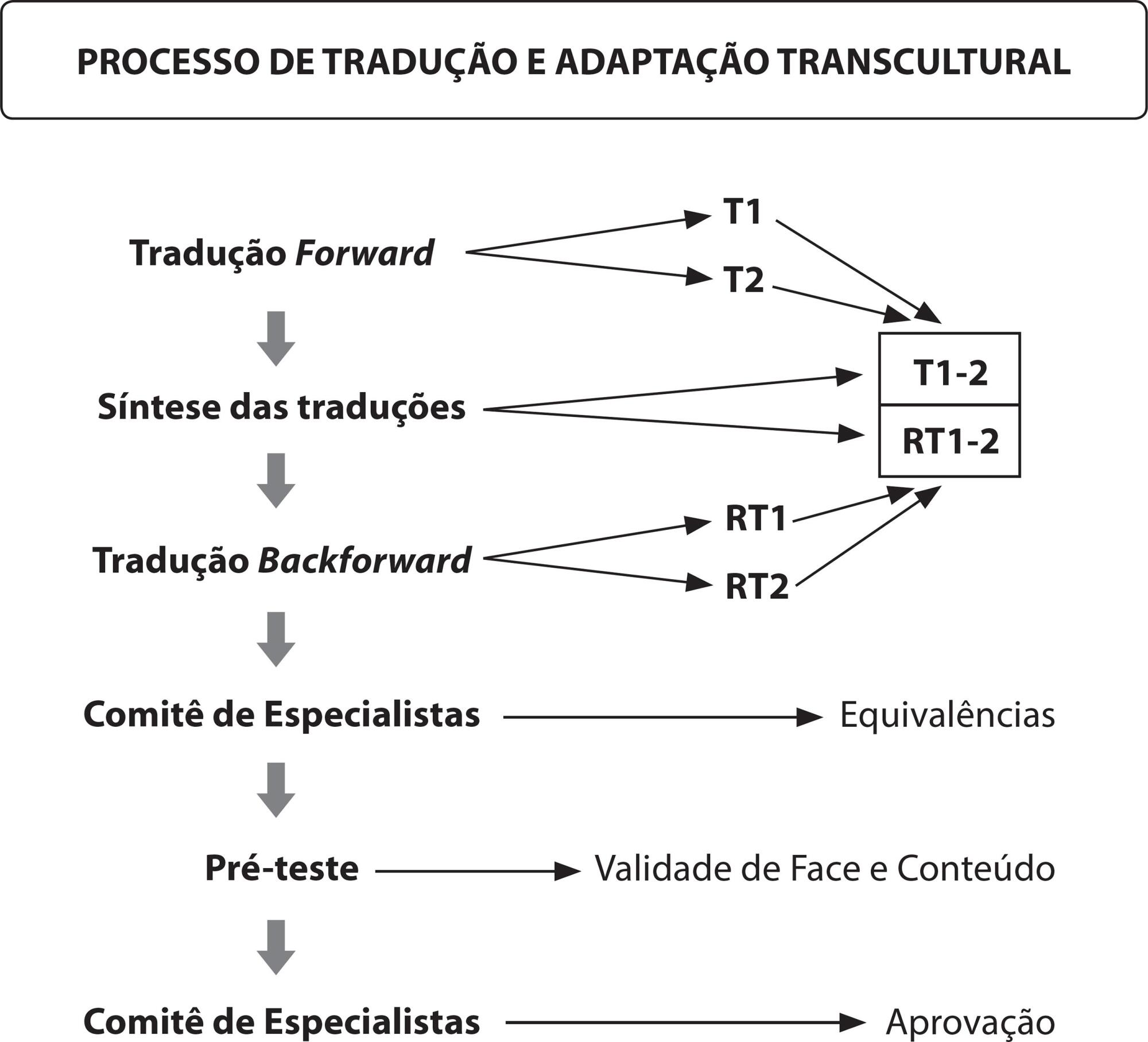 Tradução e adaptação transcultural do Student Nurse Stress Index para o Brasil