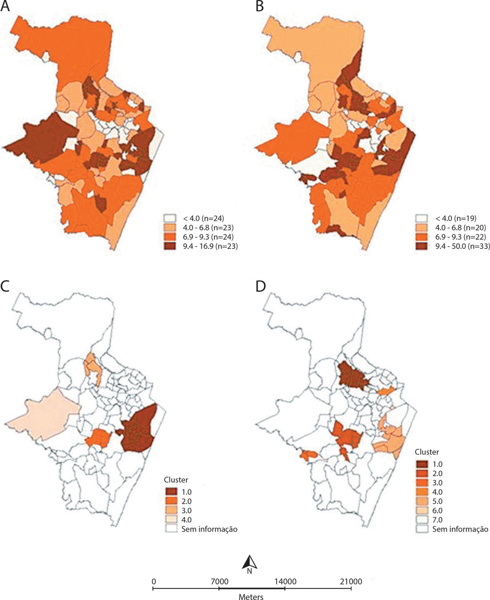 Spatial analysis of inequalities in fetal and infant mortality due to avoidable causes
