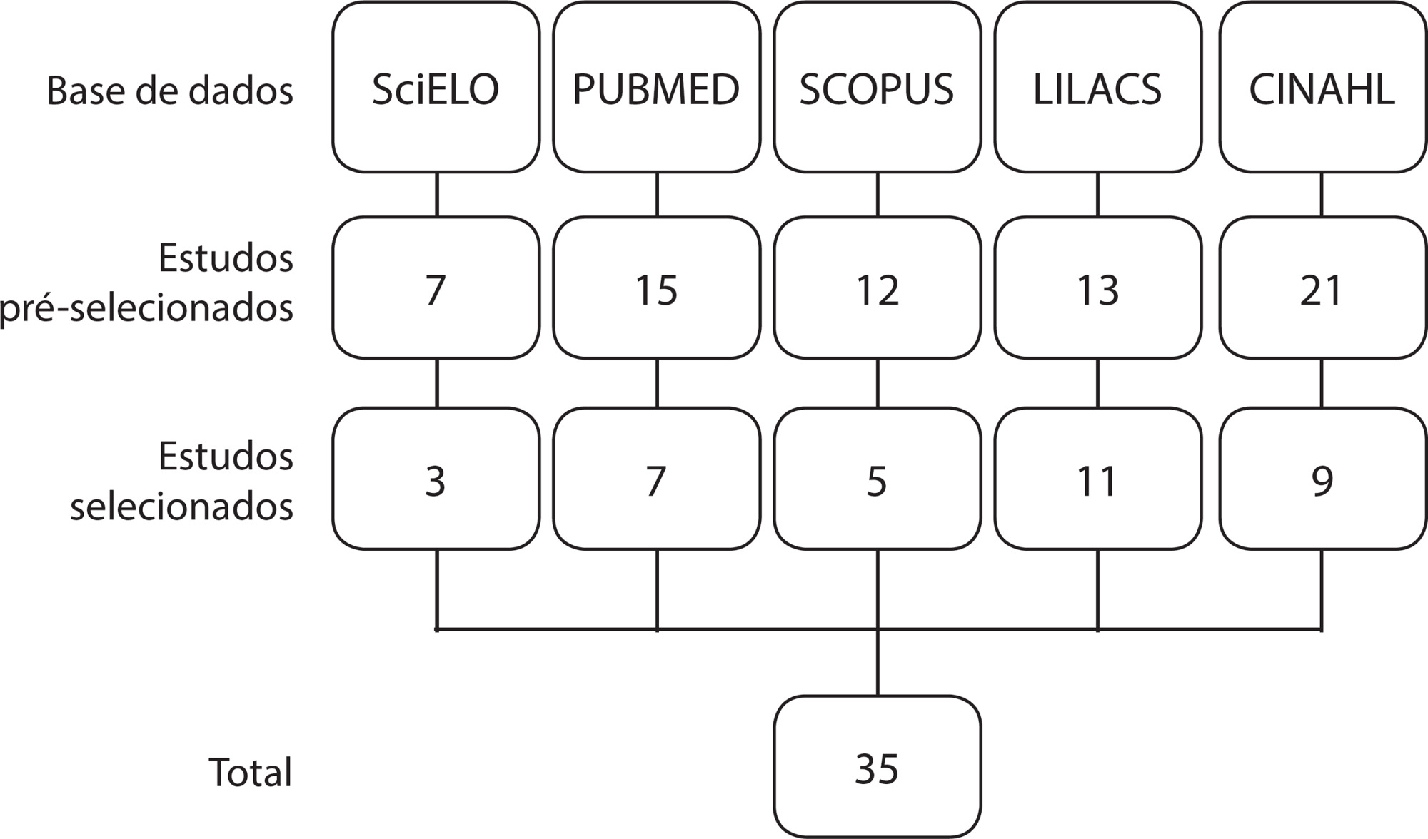 Teoria de médio alcance para o diagnóstico de enfermagem Volume de Líquidos Excessivo em gestantes
