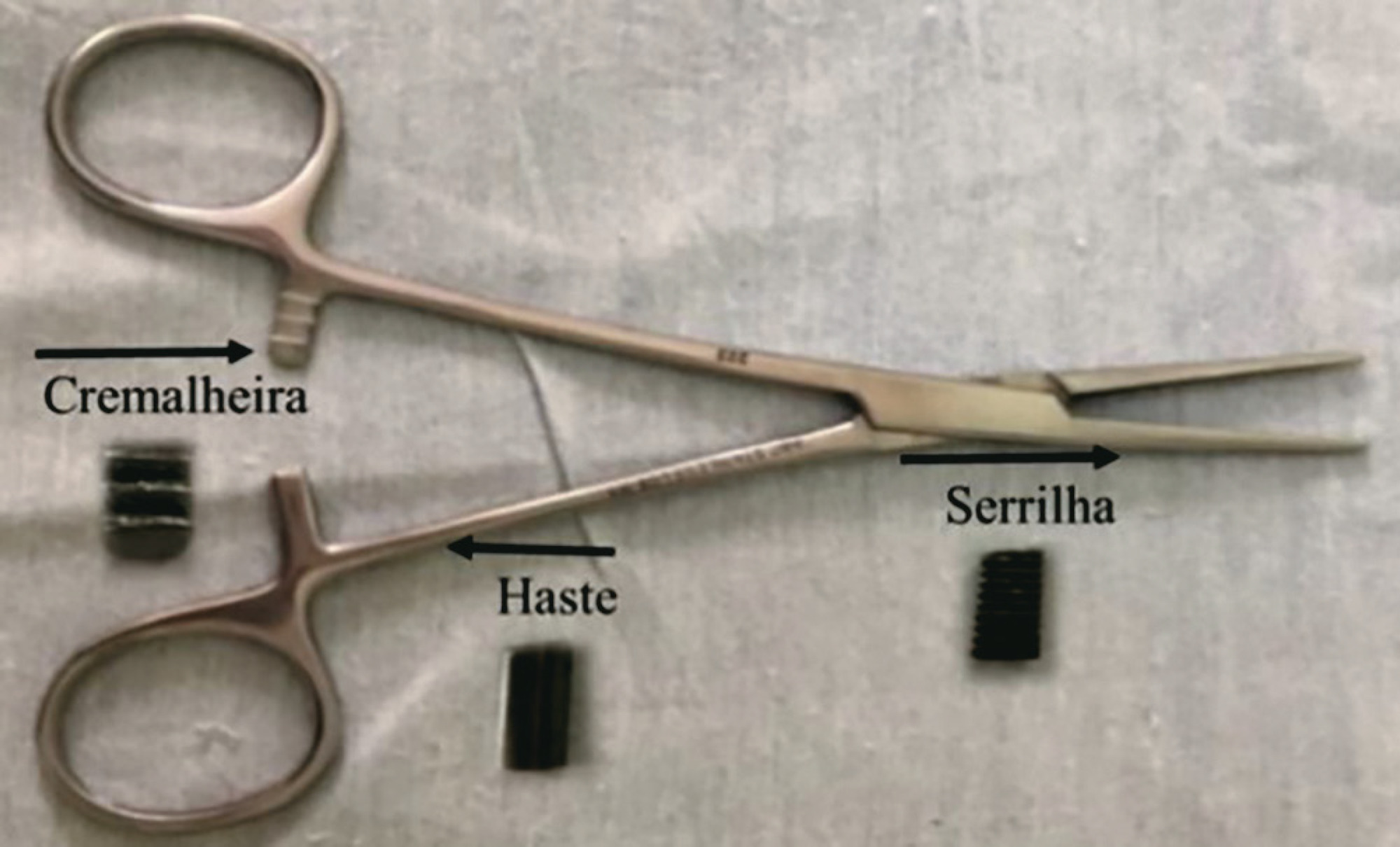 Impacto do tempo de contaminação por Escherichia coli na formação de biofilme em instrumentos cirúrgicos