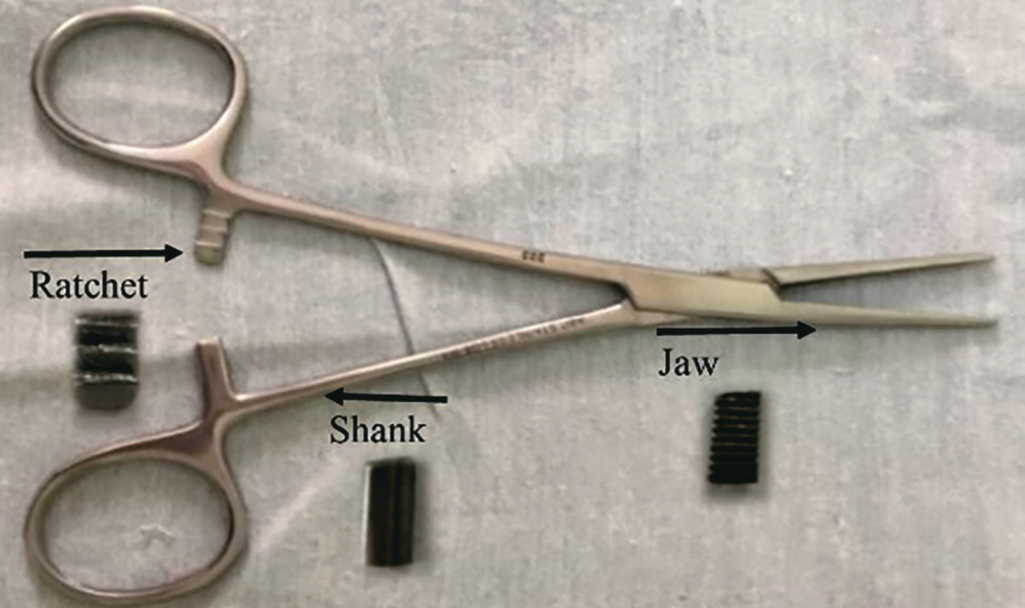 Impact of the contamination time by Escherichia coli on biofilm formation in surgical instruments