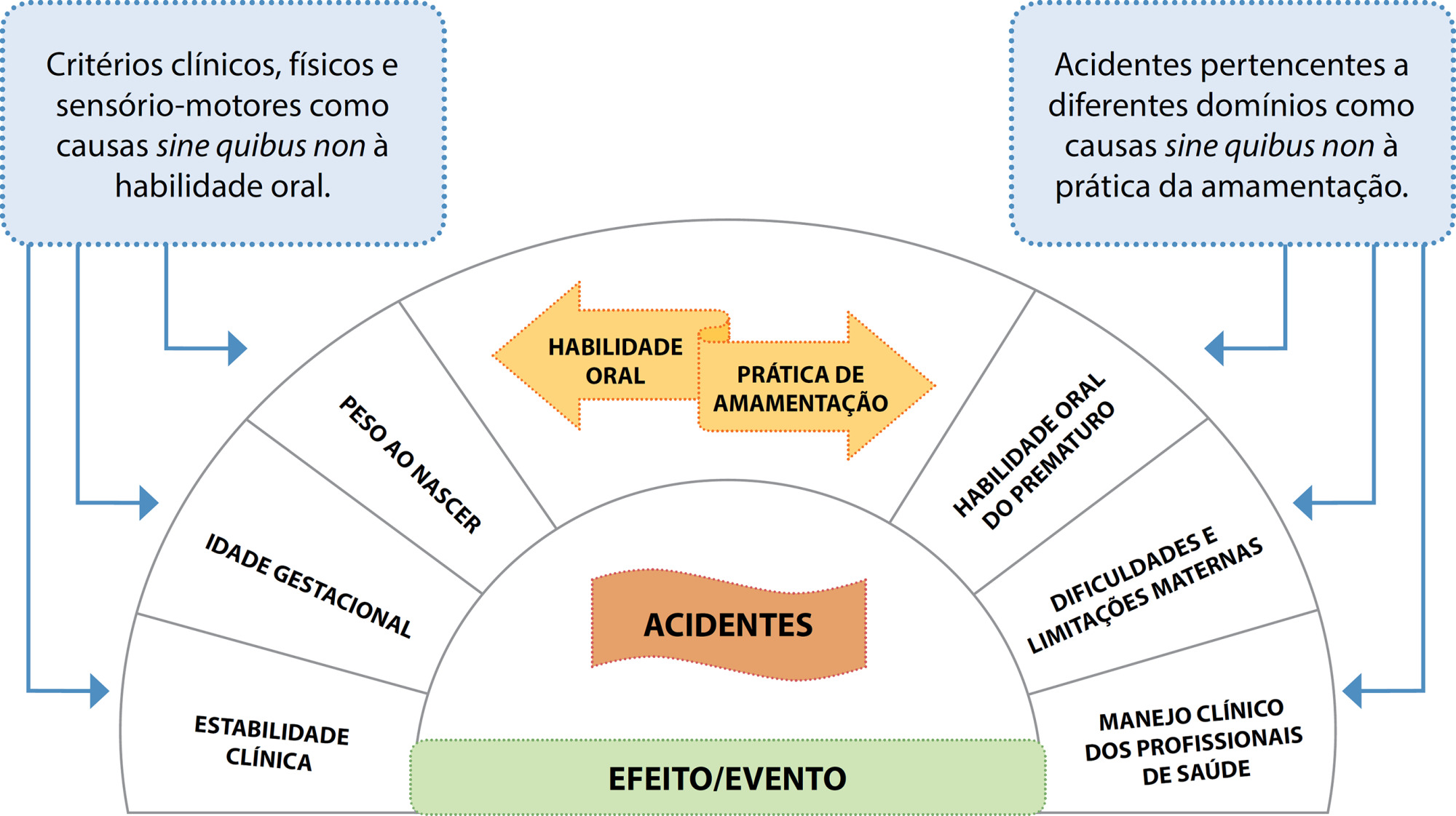 Habilidade oral do prematuro na prática da amamentação à luz da Teoria da Causalidade