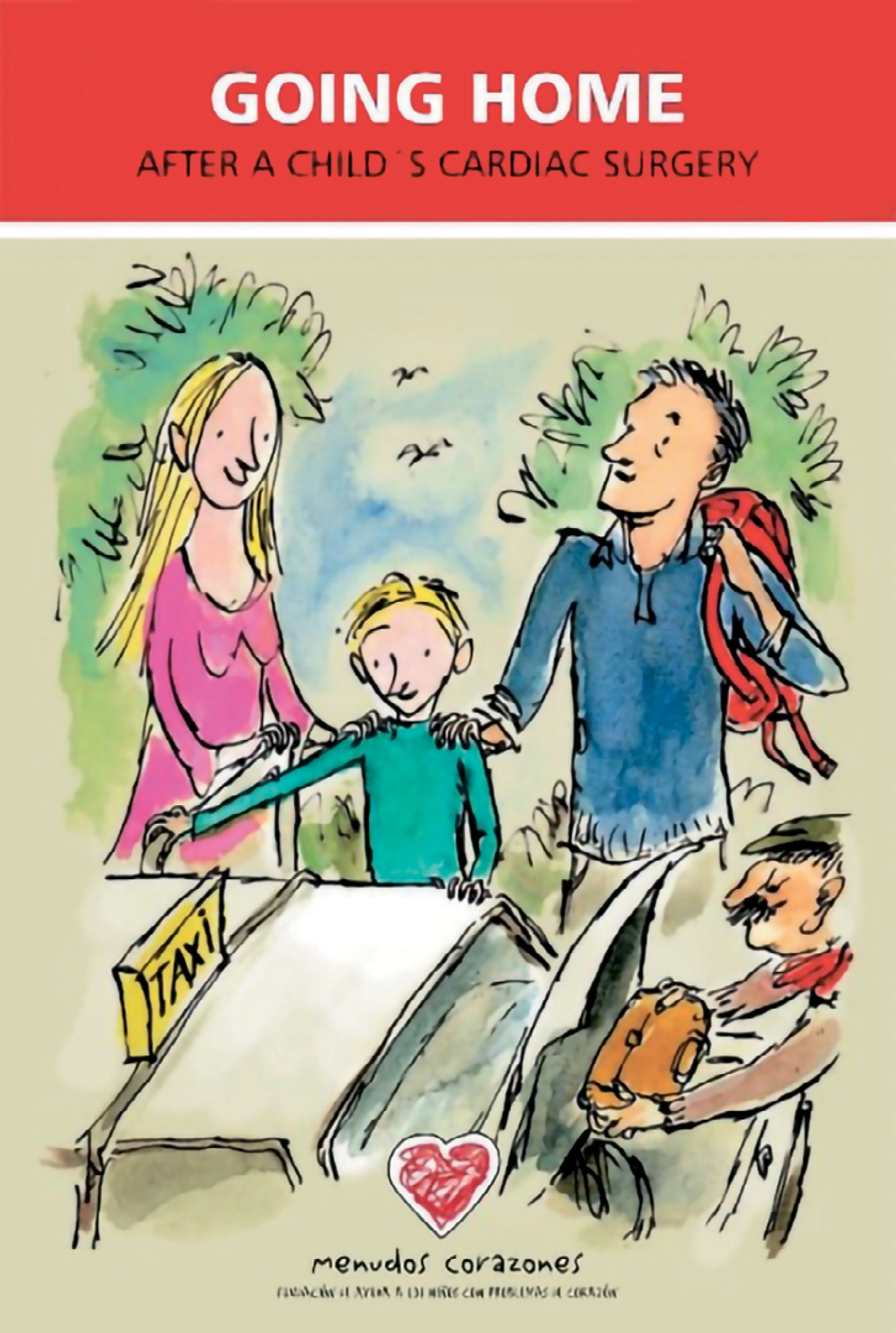 Going home after a child’s cardiac surgery: education for safe care
