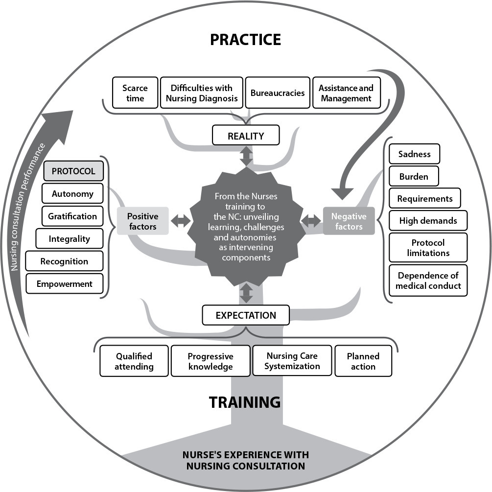 Nursing consultation in the Family Health Strategy and the nurse’s perception: Grounded Theory