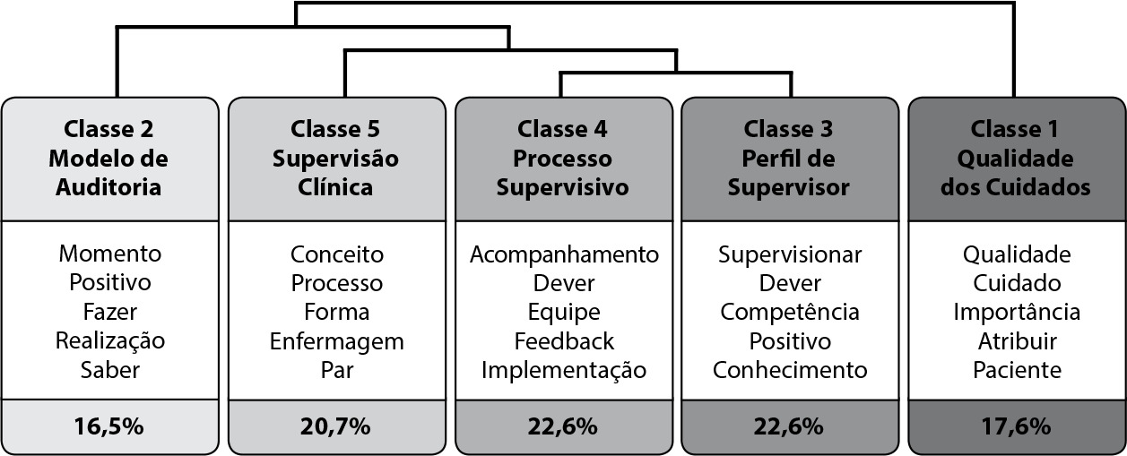 Percepção dos enfermeiros portugueses: supervisão clínica e indicadores de qualidade na assistência de enfermagem