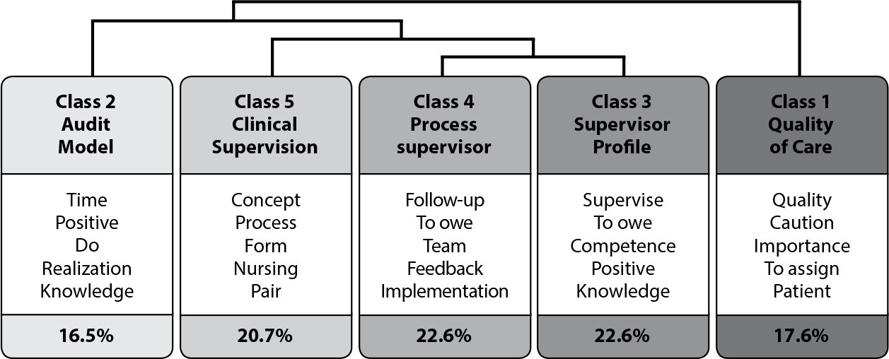 Perception of Portuguese nurses: clinical supervision and quality indicators in nursing care