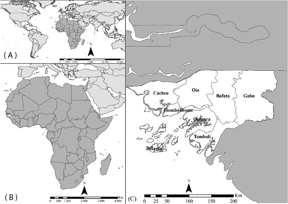 Spatial and temporal analysis of tuberculosis incidence in Guinea-Bissau, 2018 to 2020