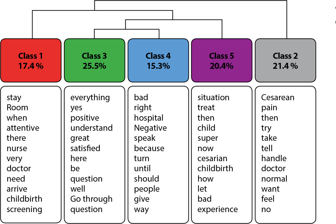 Puerperal women’s satisfaction with the obstetric services received: improvement of an assessment instrument