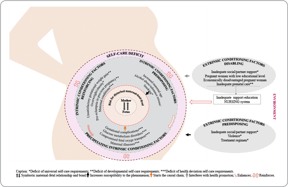 Disrupted mother-fetus dyad risk in high-risk pregnancies: a Middle-Range Theory