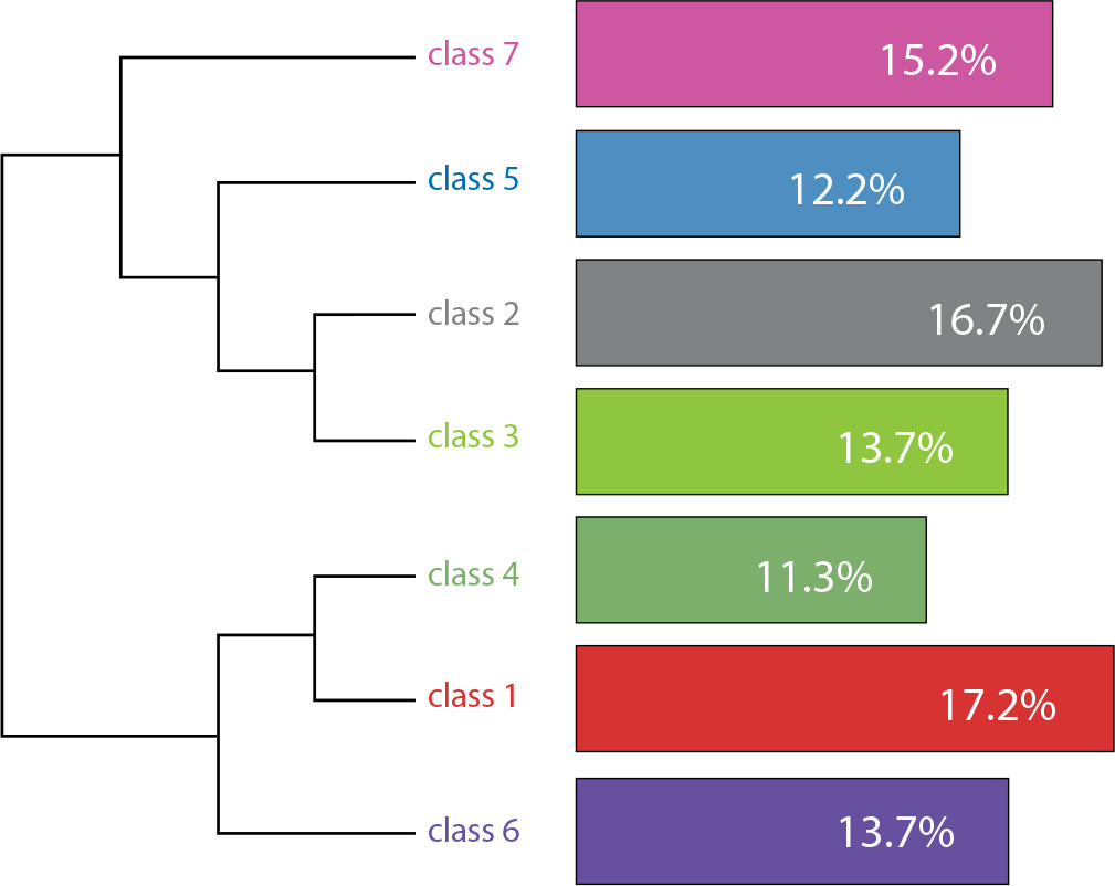 Palliative Care for SARS-CoV-2 Patients in the Intensive Care Unit: A Comprehensive Study